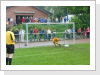 Klicken Sie auf das Bild, um es zu vergr&ouml;&szlig;ern
